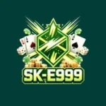 E999 Game